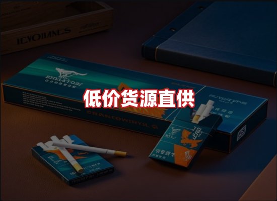 专业团队